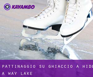 Pattinaggio su ghiaccio a Hide-A-Way Lake
