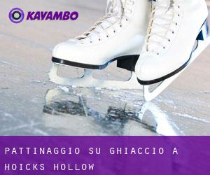 Pattinaggio su ghiaccio a Hoicks Hollow