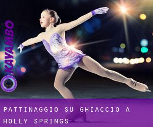 Pattinaggio su ghiaccio a Holly Springs