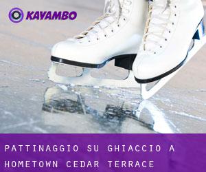 Pattinaggio su ghiaccio a Hometown-Cedar Terrace