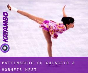 Pattinaggio su ghiaccio a Hornets Nest Pattinaggio su ghiaccio a Hornets Nest