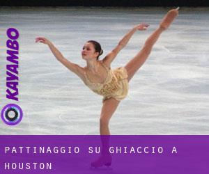 Pattinaggio su ghiaccio a Houston Pattinaggio su ghiaccio a Houston