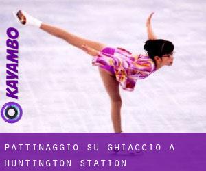 Pattinaggio su ghiaccio a Huntington Station