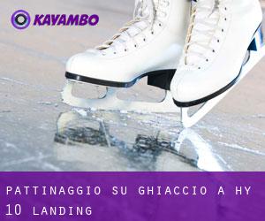 Pattinaggio su ghiaccio a Hy 10 Landing