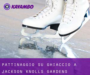 Pattinaggio su ghiaccio a Jackson Knolls Gardens