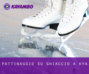 Pattinaggio su ghiaccio a Kōya Pattinaggio su ghiaccio a Kōya