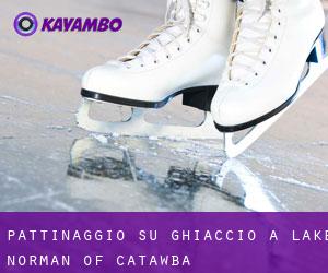 Pattinaggio su ghiaccio a Lake Norman of Catawba