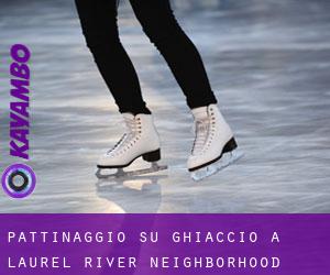 Pattinaggio su ghiaccio a Laurel River Neighborhood