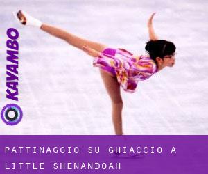 Pattinaggio su ghiaccio a Little Shenandoah Pattinaggio su ghiaccio a Little Shenandoah