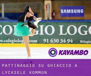 Pattinaggio su ghiaccio a Lycksele Kommun Pattinaggio su ghiaccio a Lycksele Kommun