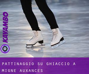 Pattinaggio su ghiaccio a Migné-Auxances