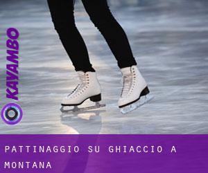 Pattinaggio su ghiaccio a Montana Pattinaggio su ghiaccio a Montana