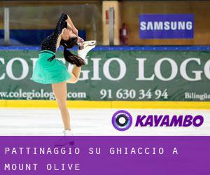 Pattinaggio su ghiaccio a Mount Olive Pattinaggio su ghiaccio a Mount Olive