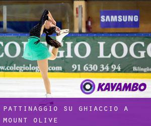 Pattinaggio su ghiaccio a Mount Olive