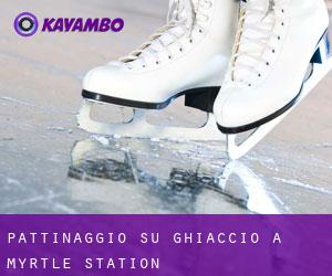 Pattinaggio su ghiaccio a Myrtle Station