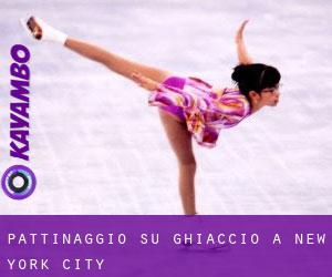 Pattinaggio su ghiaccio a New York City Pattinaggio su ghiaccio a New York City