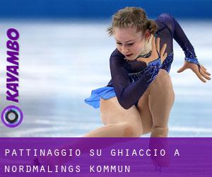 Pattinaggio su ghiaccio a Nordmalings Kommun Pattinaggio su ghiaccio a Nordmalings Kommun