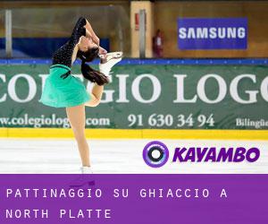 Pattinaggio su ghiaccio a North Platte Pattinaggio su ghiaccio a North Platte