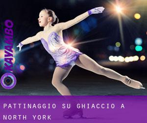 Pattinaggio su ghiaccio a North York Pattinaggio su ghiaccio a North York