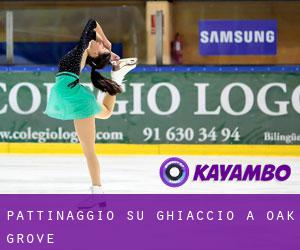 Pattinaggio su ghiaccio a Oak Grove Pattinaggio su ghiaccio a Oak Grove