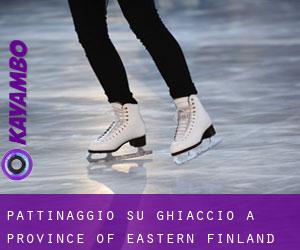 Pattinaggio su ghiaccio a Province of Eastern Finland