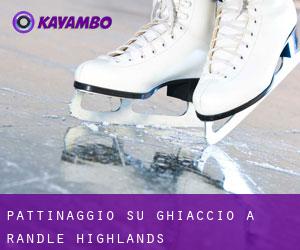 Pattinaggio su ghiaccio a Randle Highlands