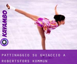 Pattinaggio su ghiaccio a Robertsfors Kommun Pattinaggio su ghiaccio a Robertsfors Kommun