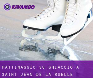 Pattinaggio su ghiaccio a Saint-Jean-de-la-Ruelle