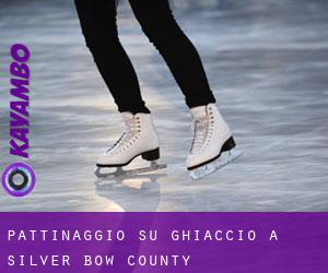 Pattinaggio su ghiaccio a Silver Bow County Pattinaggio su ghiaccio a Silver Bow County