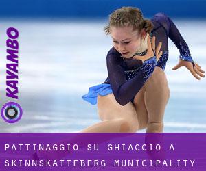 Pattinaggio su ghiaccio a Skinnskatteberg Municipality