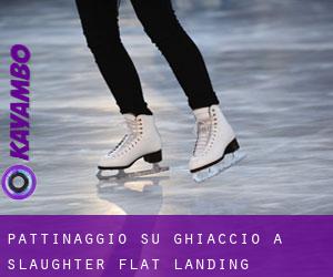 Pattinaggio su ghiaccio a Slaughter Flat Landing