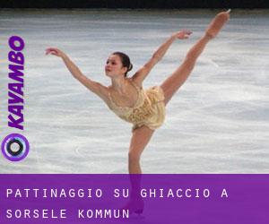 Pattinaggio su ghiaccio a Sorsele Kommun Pattinaggio su ghiaccio a Sorsele Kommun