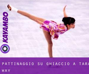Pattinaggio su ghiaccio a Tara Way Pattinaggio su ghiaccio a Tara Way