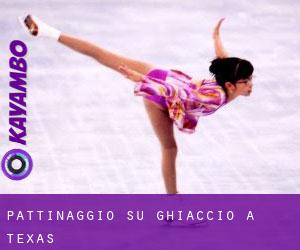 Pattinaggio su ghiaccio a Texas Pattinaggio su ghiaccio a Texas