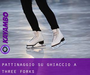 Pattinaggio su ghiaccio a Three Forks Pattinaggio su ghiaccio a Three Forks