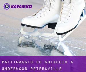 Pattinaggio su ghiaccio a Underwood-Petersville