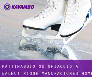 Pattinaggio su ghiaccio a Walnut Ridge Manufactured Home Community