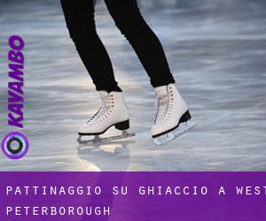 Pattinaggio su ghiaccio a West Peterborough