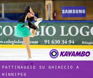 Pattinaggio su ghiaccio a Winnipeg Pattinaggio su ghiaccio a Winnipeg