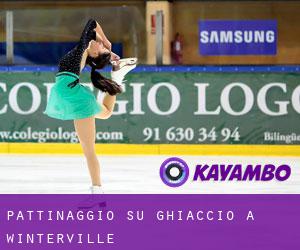 Pattinaggio su ghiaccio a Winterville