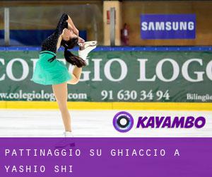 Pattinaggio su ghiaccio a Yashio-shi Pattinaggio su ghiaccio a Yashio-shi