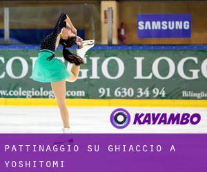 Pattinaggio su ghiaccio a Yoshitomi Pattinaggio su ghiaccio a Yoshitomi