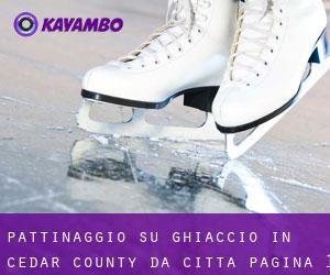 Pattinaggio su ghiaccio in Cedar County da città - pagina 1