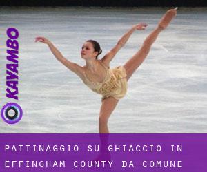 Pattinaggio su ghiaccio in Effingham County da comune - pagina 1