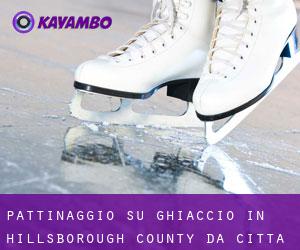 Pattinaggio su ghiaccio in Hillsborough County da città - pagina 2