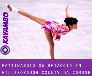 Pattinaggio su ghiaccio in Hillsborough County da comune - pagina 3
