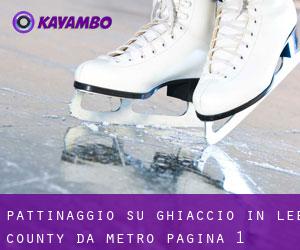 Pattinaggio su ghiaccio in Lee County da metro - pagina 1