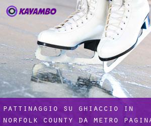 Pattinaggio su ghiaccio in Norfolk County da metro - pagina 1