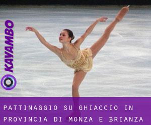 Pattinaggio su ghiaccio in Provincia di Monza e Brianza da villaggio - pagina 1