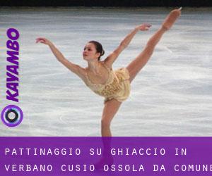 Pattinaggio su ghiaccio in Verbano-Cusio-Ossola da comune - pagina 1